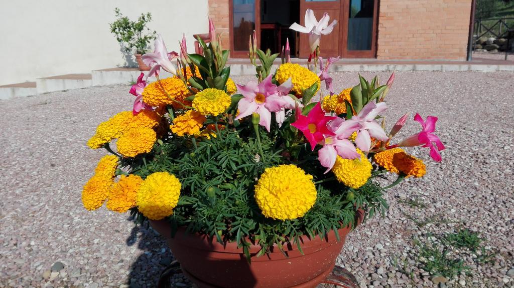 Agriturismo San Silvestro Villa Marsciano Exterior photo